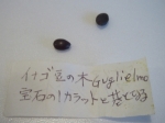 アグリジェントの神殿の谷のイナゴ豆
