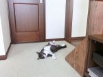 通り道なのに